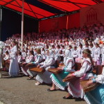 SAM_0268